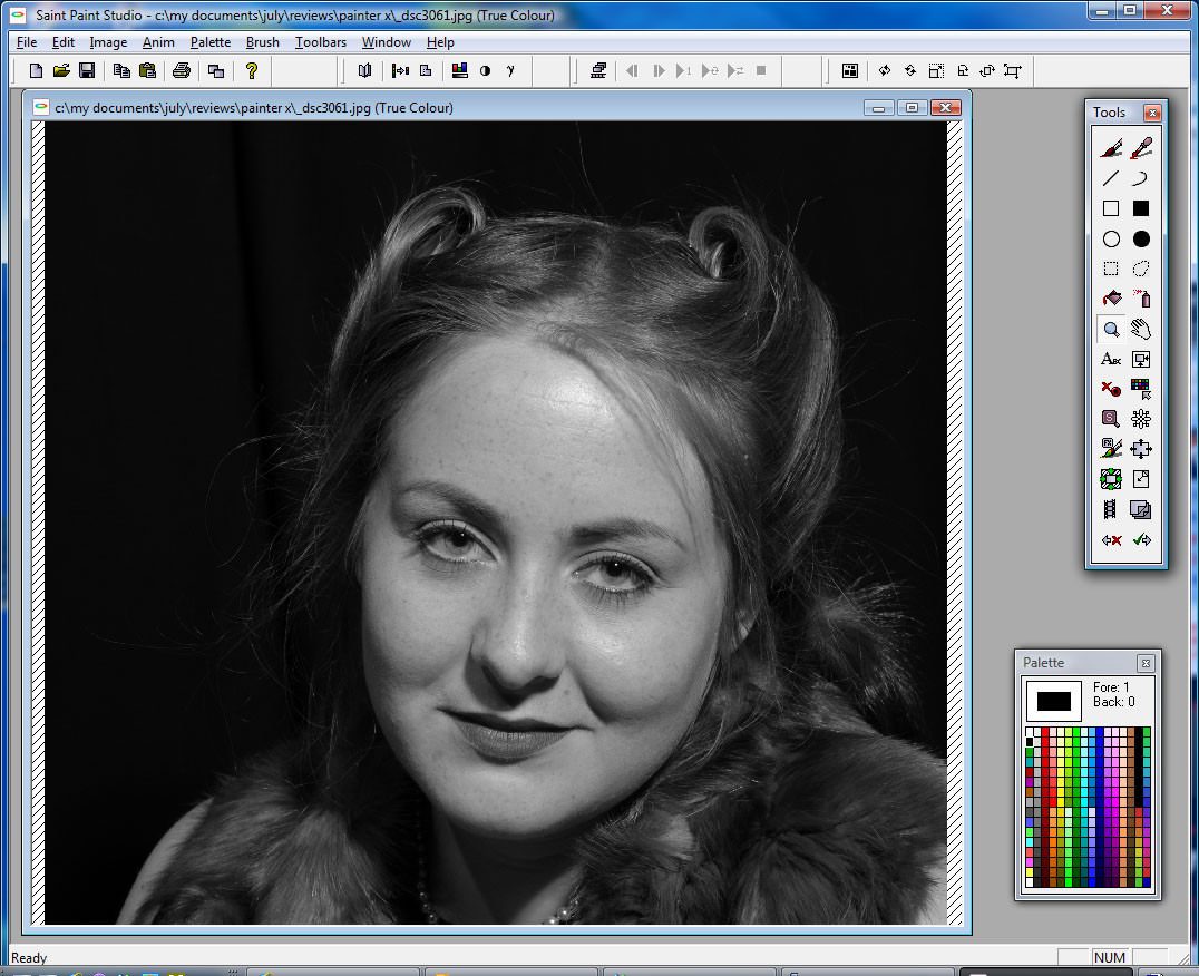 Saint Paint Studio For Mac OSX - Ideal Paint Package For Creating and Editing True Colour Download Saint Paint Studio Full Version