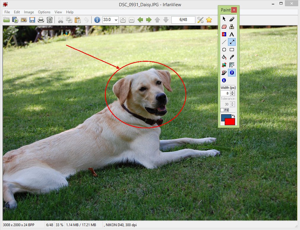 Irfanview Download For Mac OSX Irfanview Download For Pc